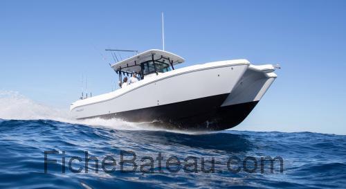 World Cat 325CC fiche technique et avis